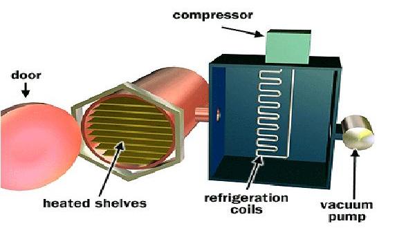 Simplified Freeze Drying Machine